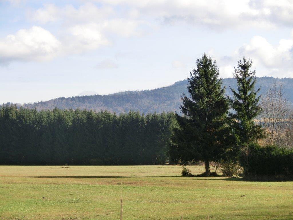 Pension Fohlenhof Frauenau Buitenkant foto